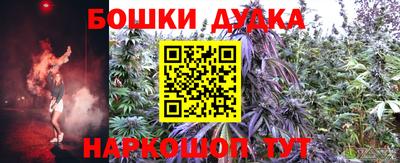 сатива Новоалтайск