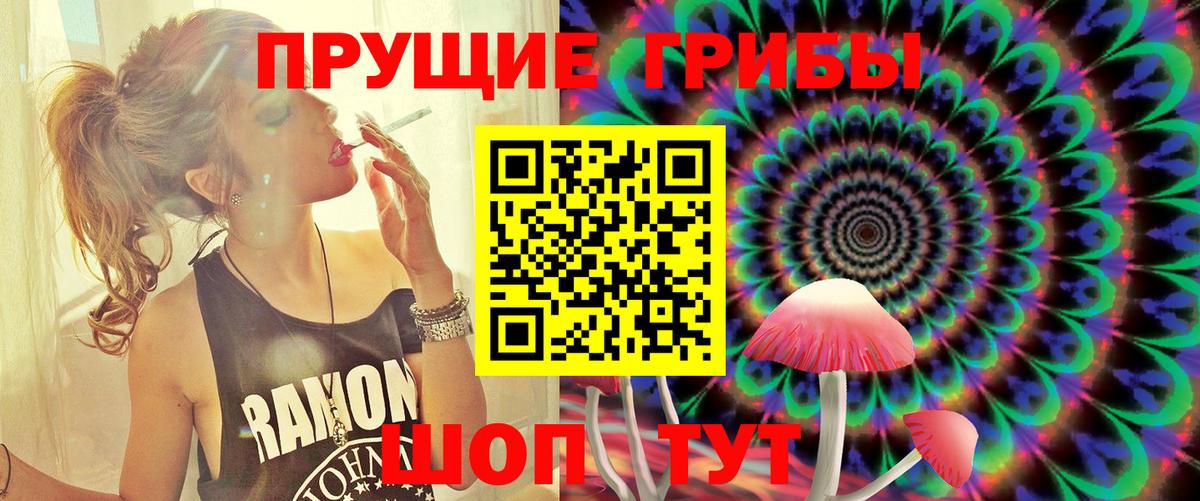 купить наркотик  Галлюциногенные грибы Psilocybe  Вход с VPN  Орехово-Зуево  Галлюциногенные грибы Magic Shrooms 